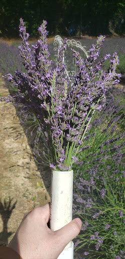 Tourist Attraction «Mitcham Farm», reviews and photos, 797 W Macedonia Church Rd, Oxford, GA 30054, USA