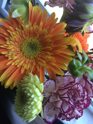 Florist «KaBloom», reviews and photos, 305 Harvard St, Brookline, MA 02446, USA