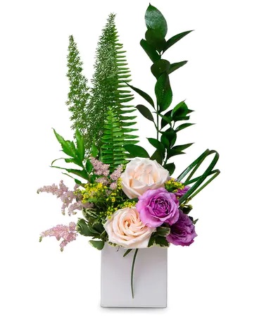 Florist «Knox Flowers & Gifts», reviews and photos, 2005 Columbia Ave, Helena, MT 59601, USA