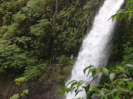 Natural waterfalls in San Jose