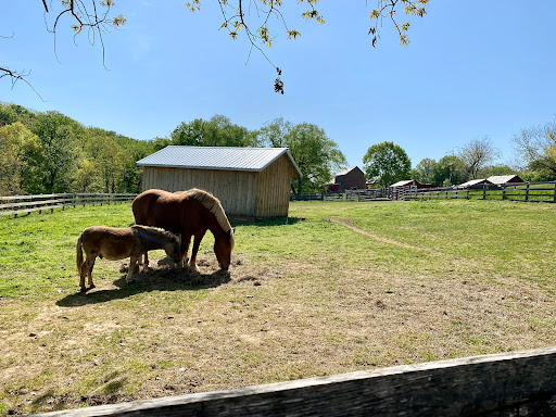 National Park «Oxon Cove Park & Oxon Hill Farm», reviews and photos, 6411 Oxon Hill Rd, Oxon Hill, MD 20745, USA