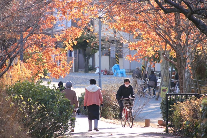 北区立白山堀公園