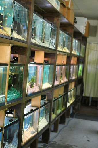 Tropical Fish Store «Nature Aquarium», reviews and photos, 2836 Santa Monica Blvd, Santa Monica, CA 90404, USA