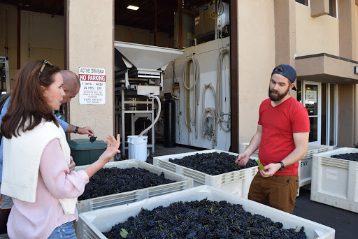Wine Tour Drivers - Napa Valley, Sonoma County, Lodi & Sierra Foothills image