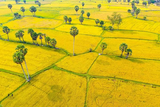 Top 20 cachs vẽ cửa hàng Huyện Tịnh Biên An Giang 2022