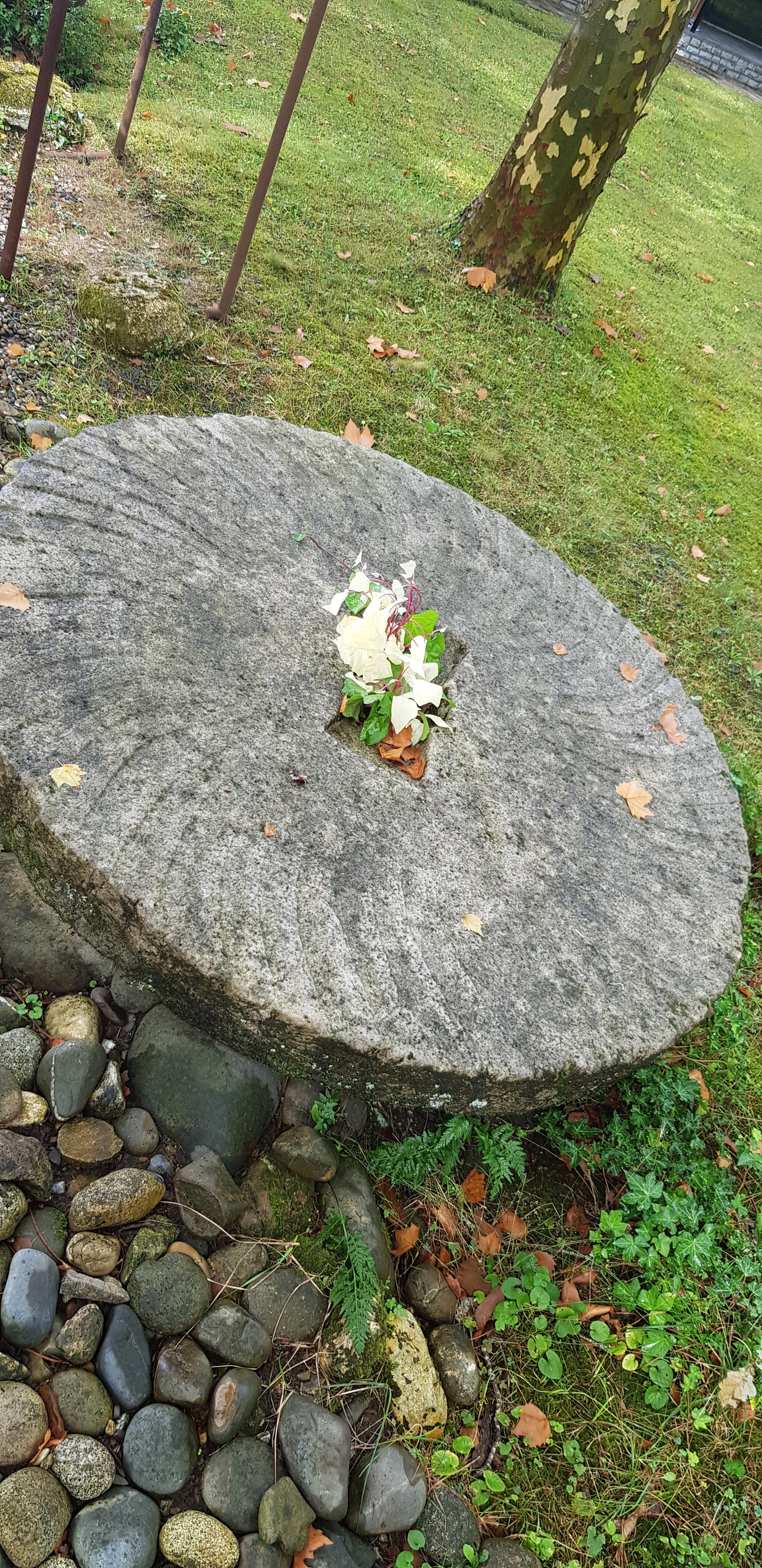 Photo n° 3 de l'avis de Celina.l fait le 18/09/2021 à 15:29