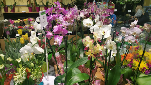 Supermarket «Publix Super Market at Weston Lakes Plaza», reviews and photos, 294 Indian Trace, Weston, FL 33326, USA