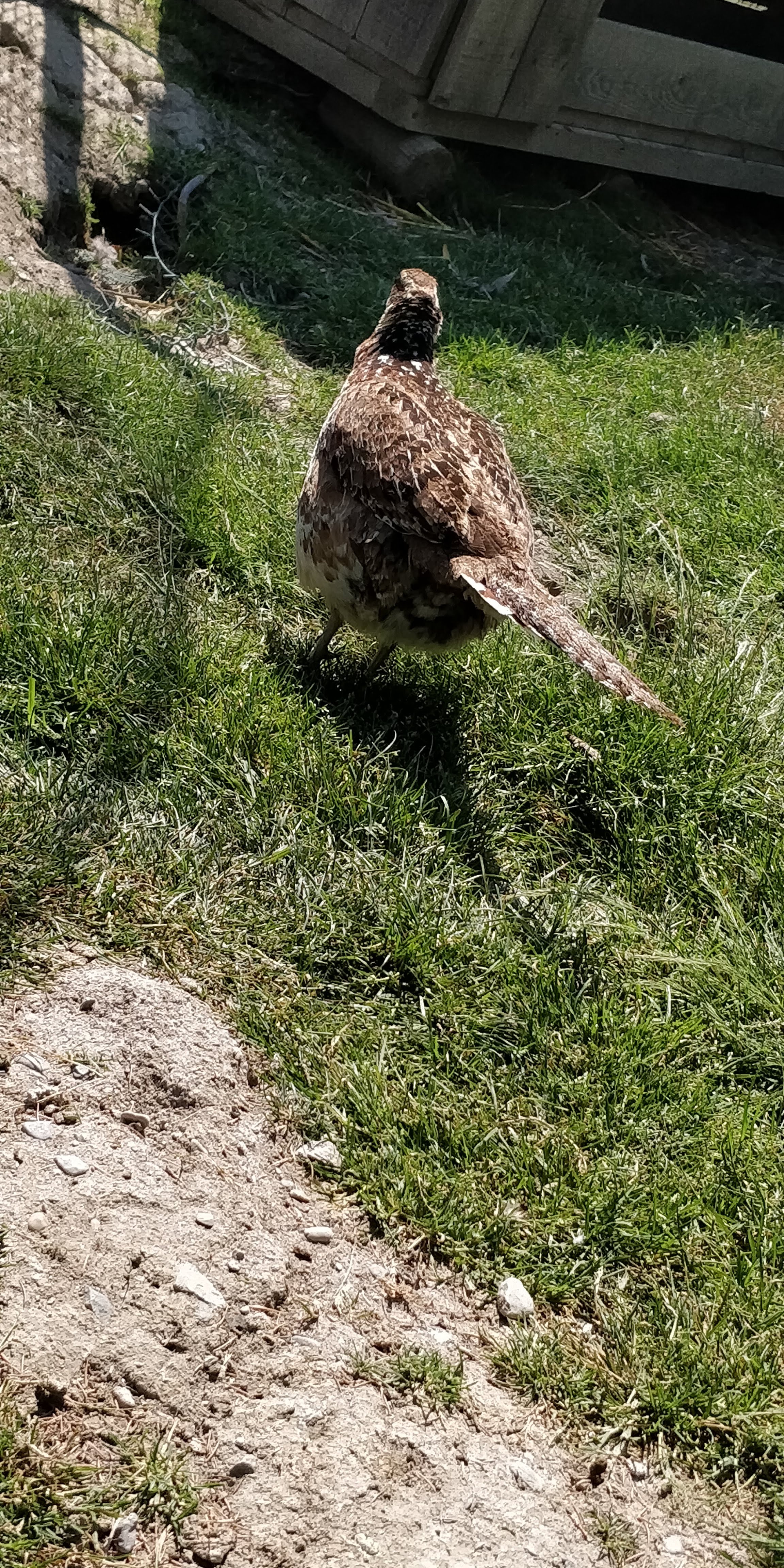 Photo n° 20 de l'avis de Sylvain.e fait le 02/08/2018 à 06:25