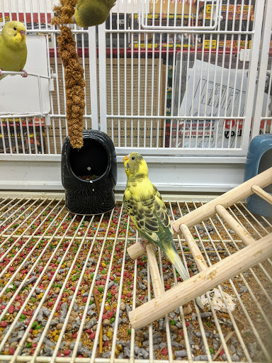 Pet Supply Store «Petco Animal Supplies», reviews and photos, 9230 Old Keene Mill Rd b, Burke, VA 22015, USA