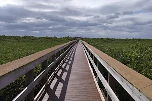 Ponce Inlet Preserve image