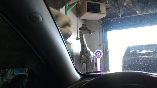 Car Wash «Rainforest Car Wash», reviews and photos, 3365 Center Rd, Brunswick, OH 44212, USA