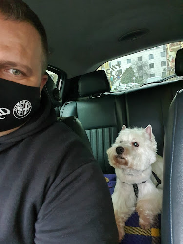 Hozzászólások és értékelések az Dogs & Beauty Kutyakozmetika-ról