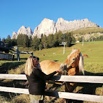 Photo n°6 de l'avis de Elisa.e fait le 08/09/2020 à 18:49 sur le  Restaurant Pizzeria Christomannos à Welschnofen