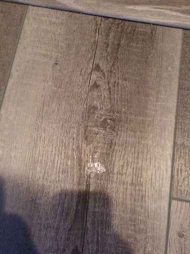 Roofing Contractor «Gridiron Guys Construction», reviews and photos