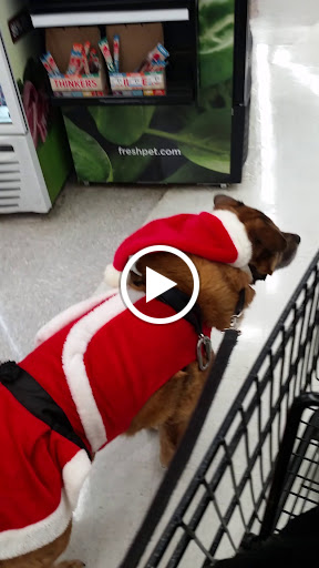 Pet Supply Store «Petco Animal Supplies», reviews and photos, G3559 Miller Rd, Flint, MI 48507, USA