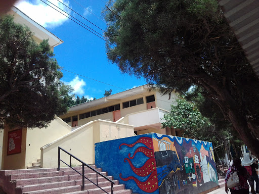Institutos publicos en Tegucigalpa