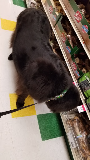 Pet Supply Store «Pet Supplies Plus», reviews and photos, 1960 Jericho Turnpike, East Northport, NY 11731, USA