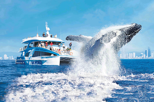 Sea World Whale Watch image