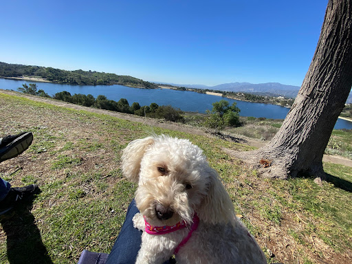 Bonelli Bluffs RV Resort & Campground image