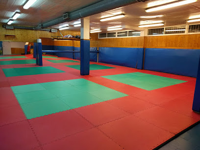 Danjeong Dojang. Escuela de Taekwondo, Hapkido, De - C. de Ocaña, 12, 28047 Madrid, Spain
