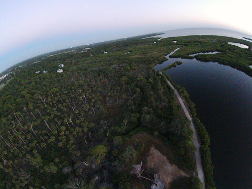 Nature Preserve «Mobbly Bayou Wilderness Preserve», reviews and photos, 423 Lafayette Blvd, Oldsmar, FL 34677, USA