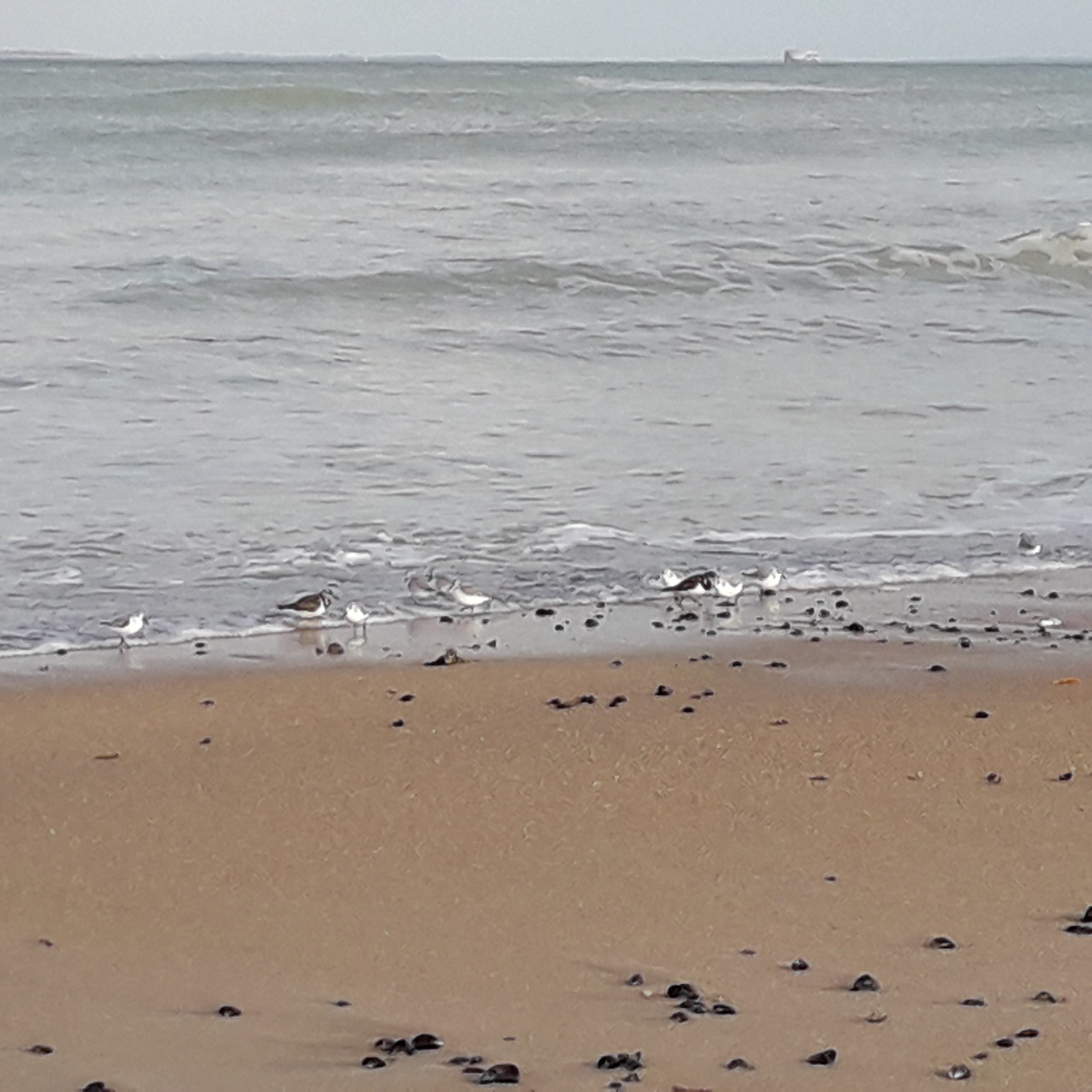 Photo n° 1 de l'avis de cecile.a fait le 20/02/2020 à 19:58