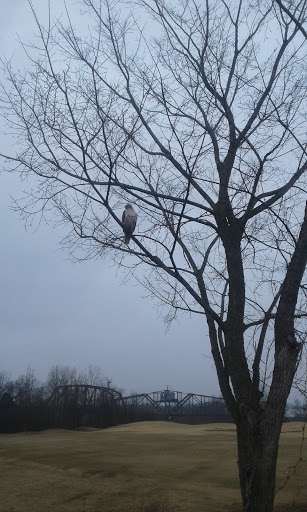 Public Golf Course «Ted Rhodes Golf Course», reviews and photos, 1901 Ed Temple Blvd, Nashville, TN 37208, USA