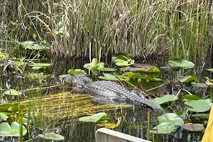 Coopertown The Original Airboat Tour image