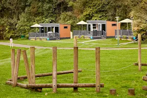 Alderstead Heath Experience Freedom Glamping image