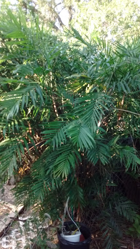 Beer Store «Holiday Wine & Liquor», reviews and photos, 809 S Commerce St, Harlingen, TX 78550, USA