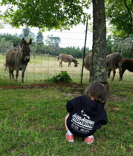 Plumber «Craig Johnson Plumbing & Rooter Service», reviews and photos, 10841 Rough and Ready Hwy, Grass Valley, CA 95945, USA