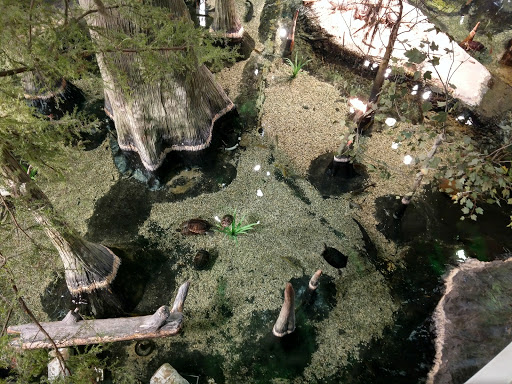 Science Museum «Orlando Science Center», reviews and photos, 777 E Princeton St, Orlando, FL 32803, USA