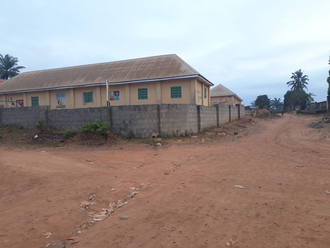 Community primary (St Martins of tour Nsukwu)school has Oye Ezeigwe Nsukwu, Abatete
