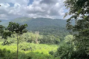 Sholayar Forest Reserve image