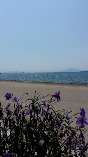 Εξωραϊστική Ανοιχτές ώρες