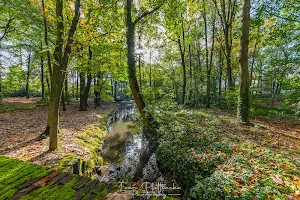 Gemeentepark Boom image