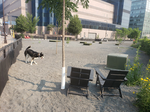 Dog Park «Gateway Dog Park», reviews and photos, 1099 S 4th Ave, Minneapolis, MN 55404, USA