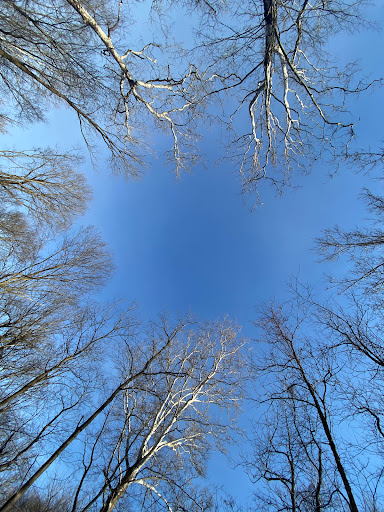 Nature Preserve «Sweet Arrow Reserve», reviews and photos, 789 Little Sugarcreek Rd, Sugarcreek Township, OH 45440, USA