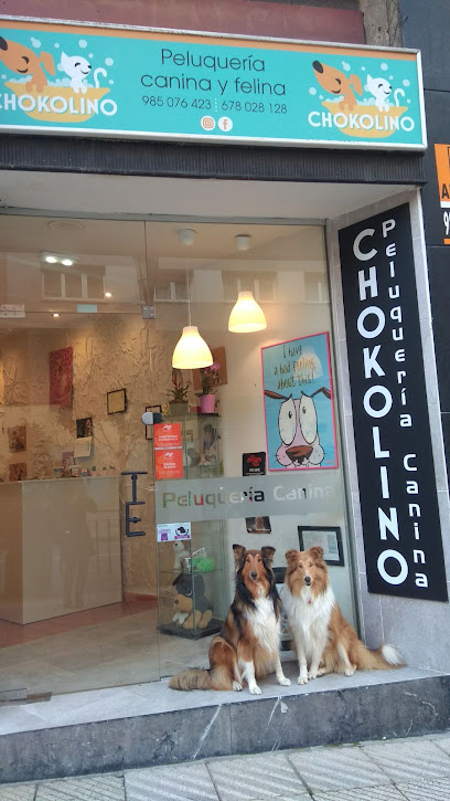 Chokolino peluquería canina - Servicios para mascota en Oviedo