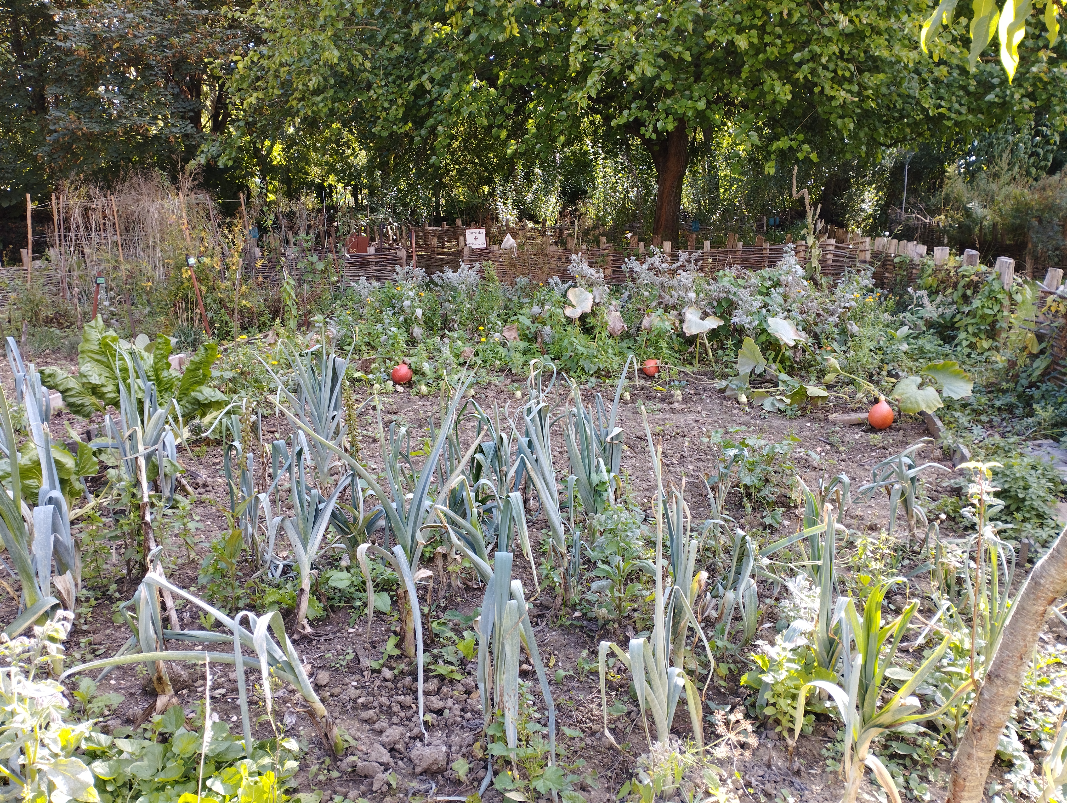 Photo n° 10 de l'avis de veronique.S fait le 27/09/2022 à 16:54