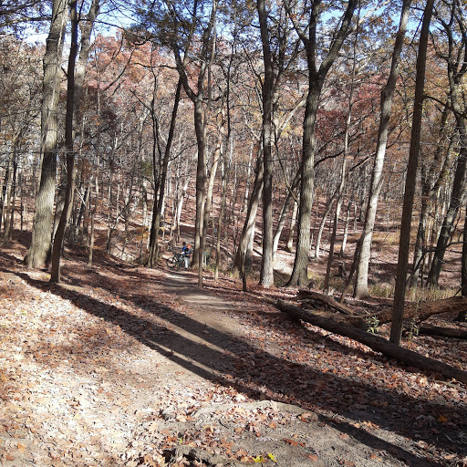 Nature Preserve «Maple Lake East Mountain Bike Staging Area», reviews