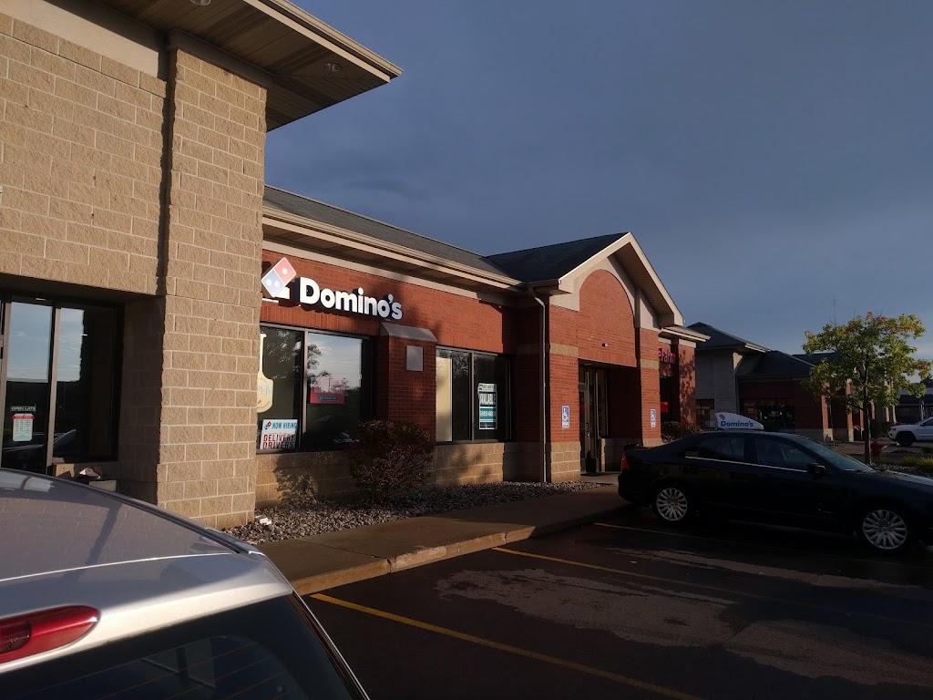 Domino's Pizza 48864