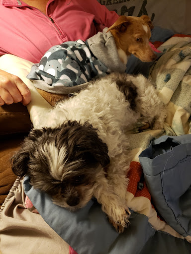 Pet Supply Store «Pet Supplies Plus», reviews and photos, 2500 S Main St, Rice Lake, WI 54868, USA