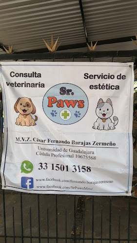 Sr Paws