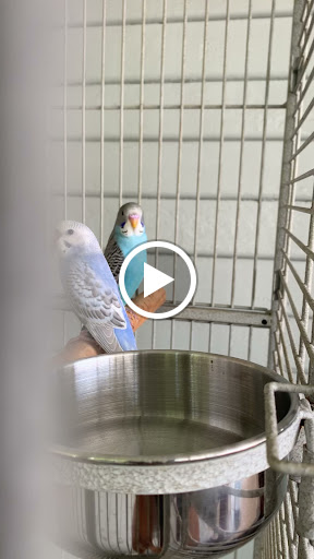 Pet Supply Store «PetSmart», reviews and photos, 745 W Huntington Dr, Monrovia, CA 91016, USA