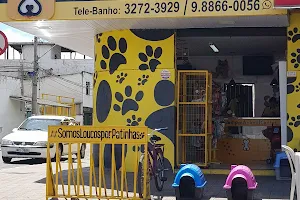 ANIMAL CENTER PetShop image