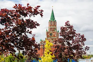 Blagoveshchenskaya Tower image