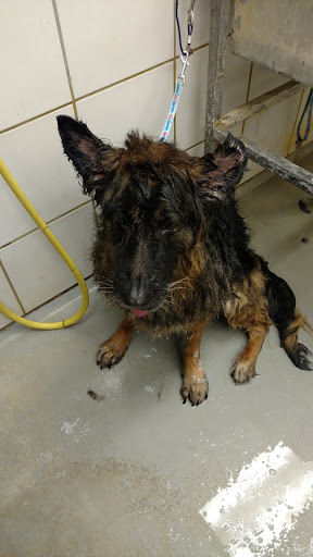 Pet Supply Store «PetSmart», reviews and photos, 17180 Mercantile Blvd, Noblesville, IN 46060, USA