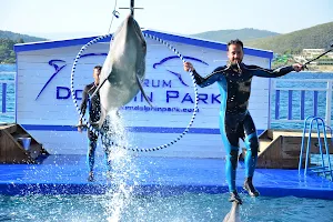 Bodrum Dolphin Park - Yunus Gösteri Merkezi image