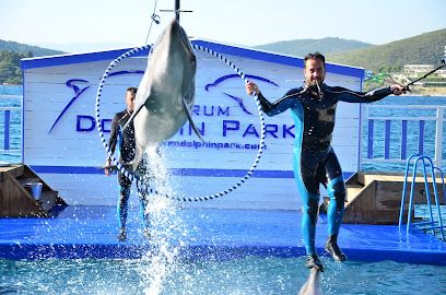Bodrum Dolphin Park - Yunus Gösteri Merkezi